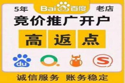 竞价广告案例：网络推广新思路