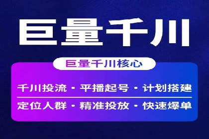 SEM搜索引擎优化策略解析与应用案例